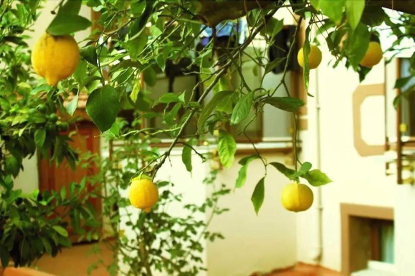Boncuklu Otel Ολουντενίζ Εξωτερικό φωτογραφία
